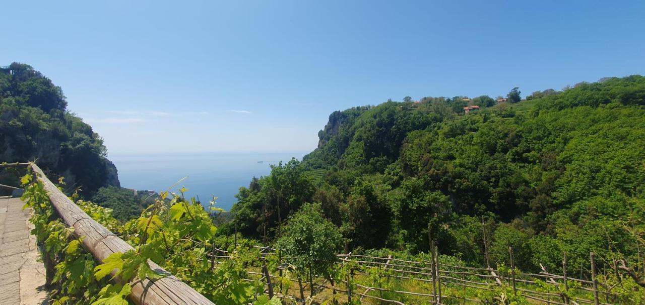 La Cicogna Bed & Breakfast Agerola Exterior photo