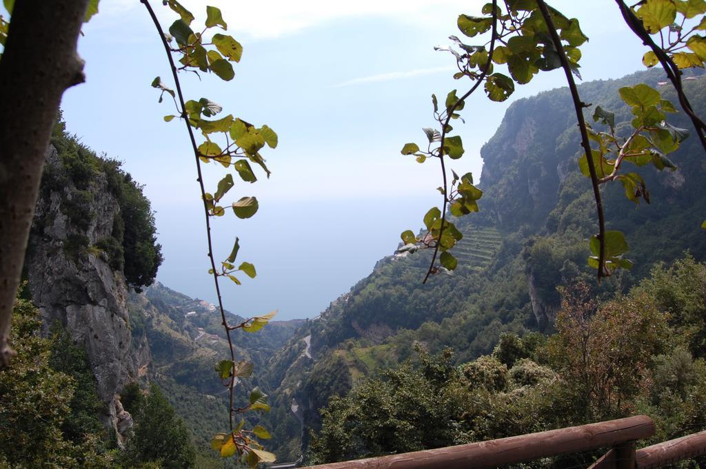La Cicogna Bed & Breakfast Agerola Exterior photo